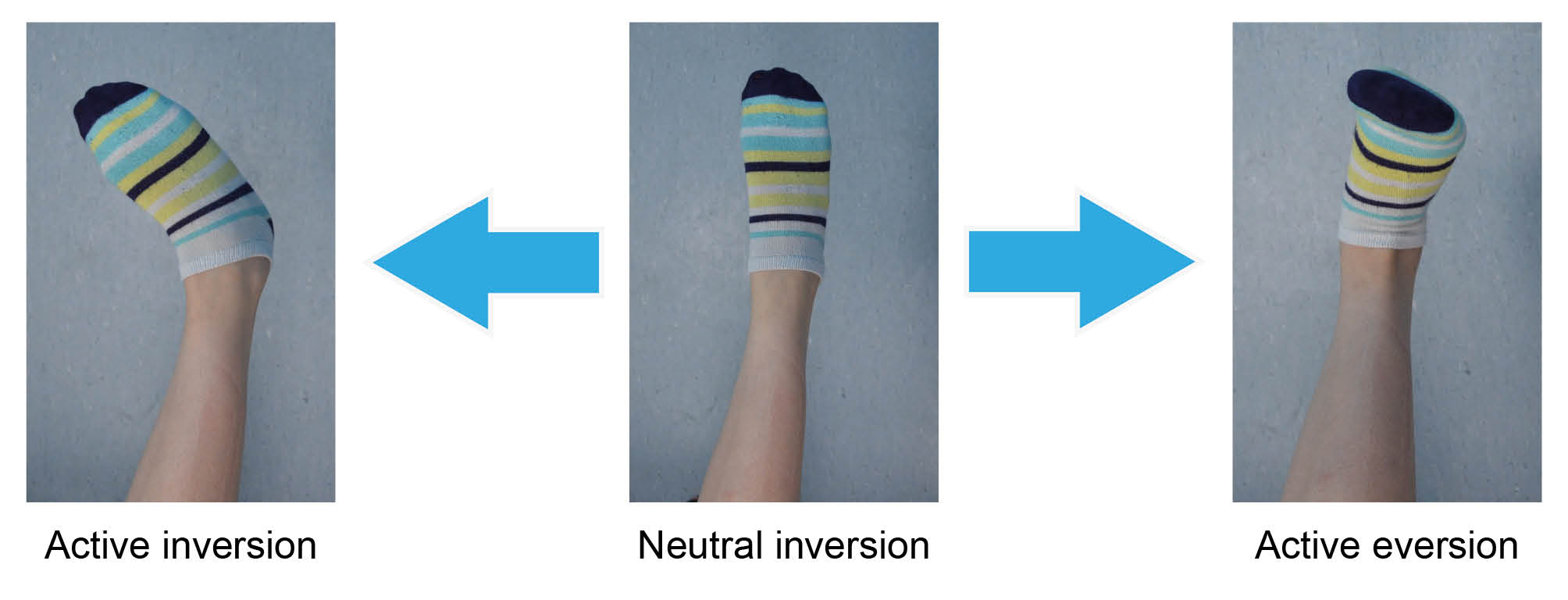 Ankle inversion and eversion