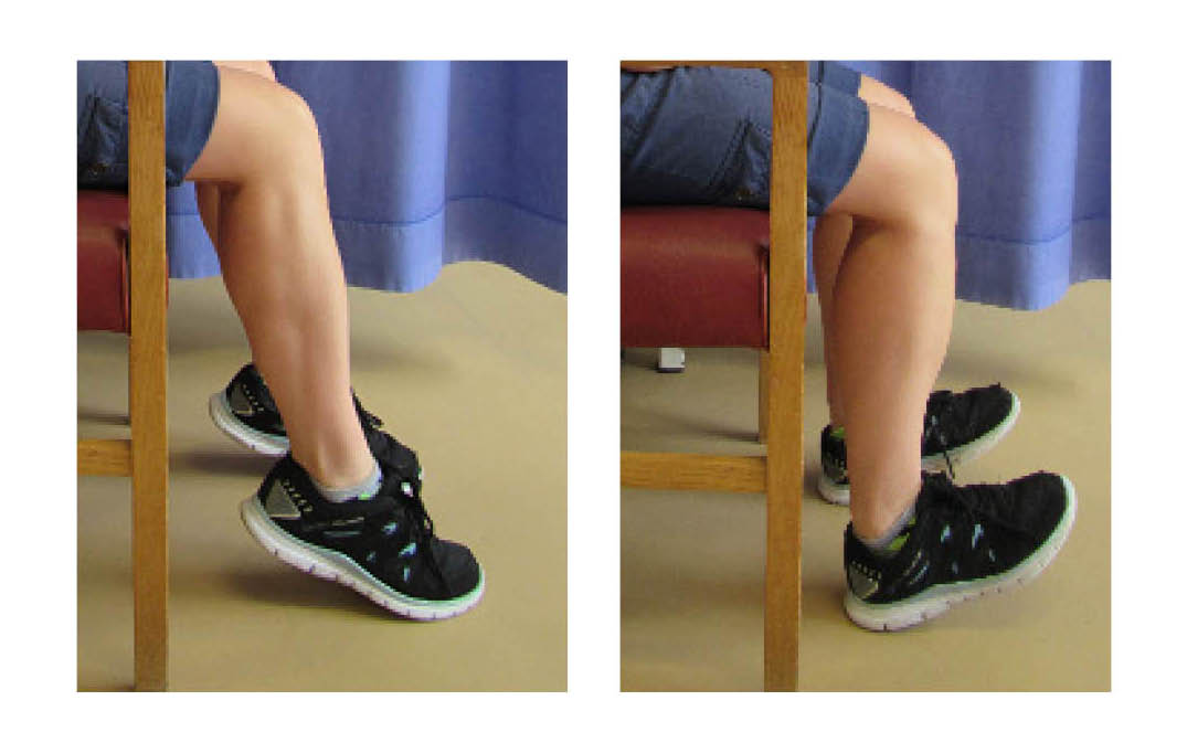 figure-15-and-16-seated-exercises-1744204847.jpg