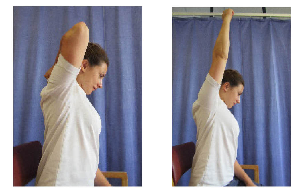 figure-32-and-33-seated-exercises-1744206165.jpg
