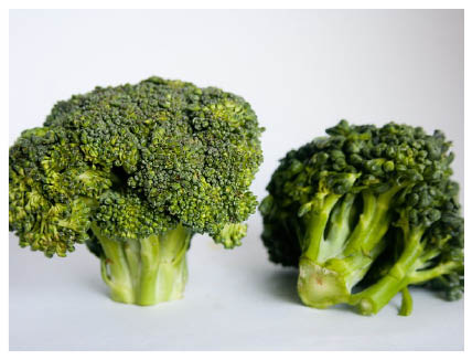 Photo of two pieces of broccoli or a portion of broccoli