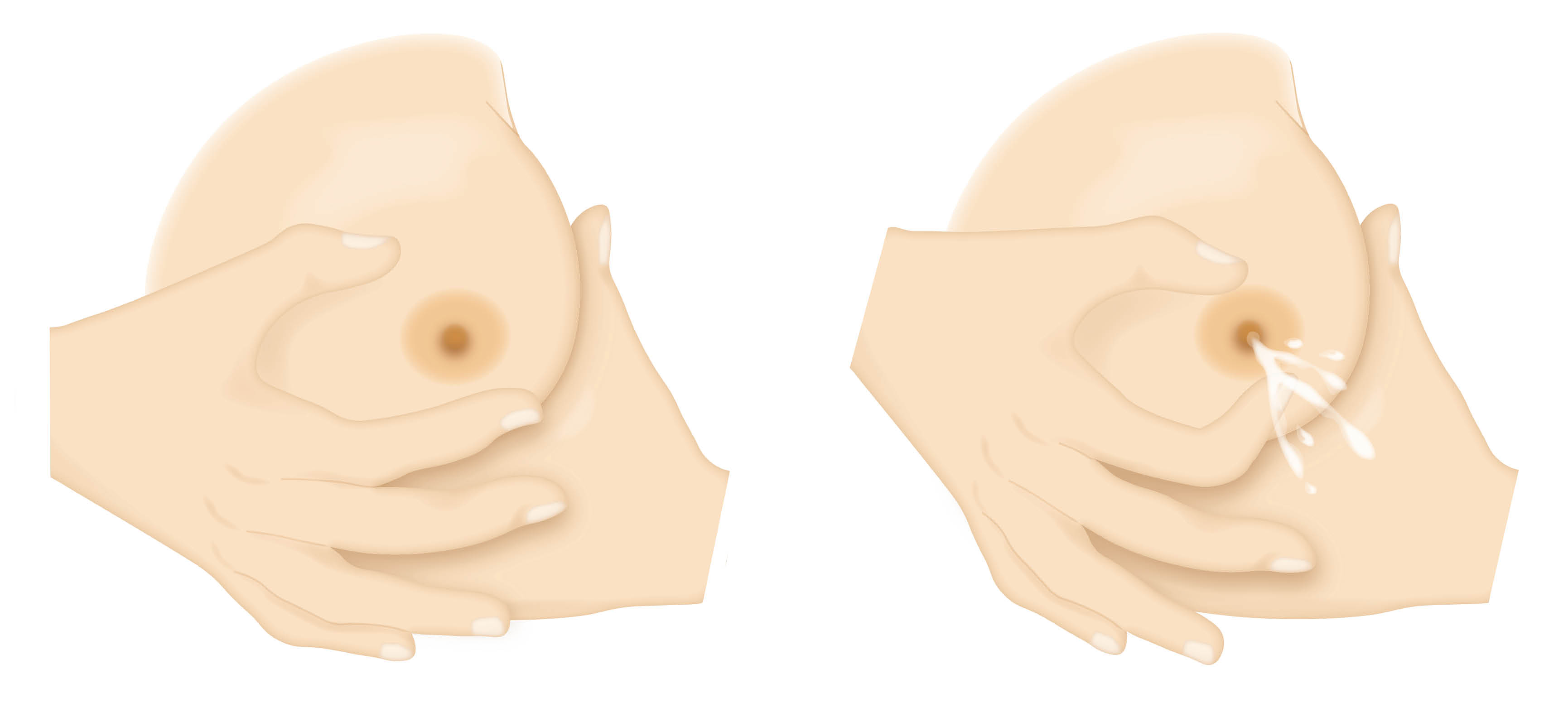 Diagram showing the hand expressing instructions detailed in the leaflet.