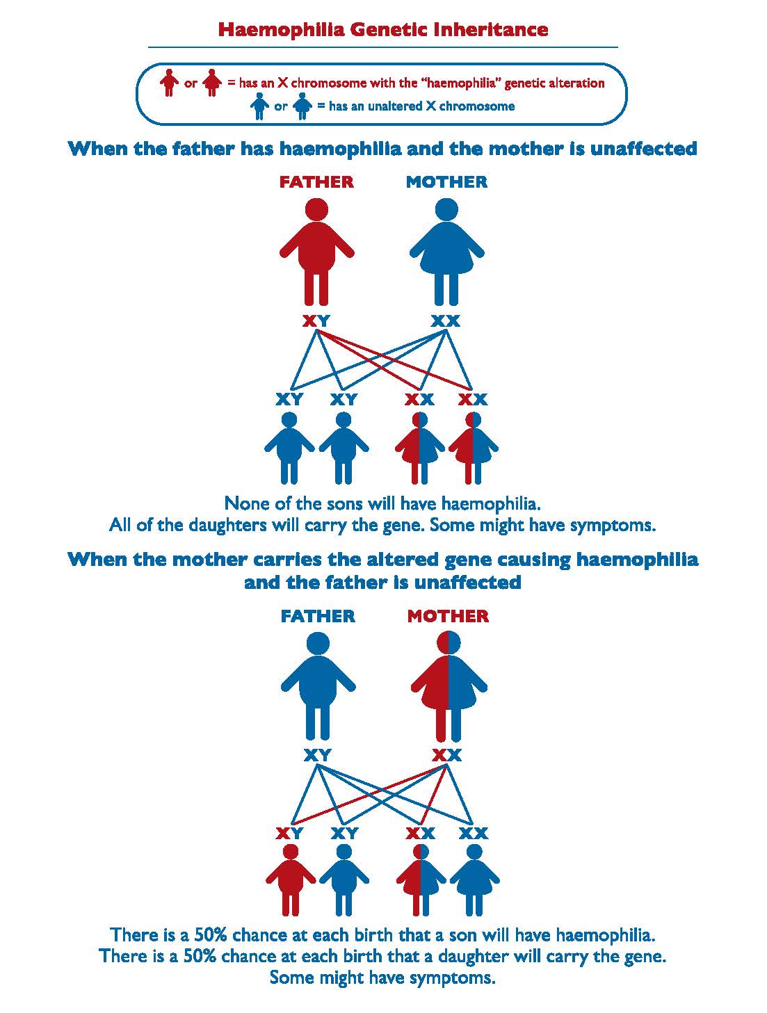 Haemophilia Genetic Inheritance