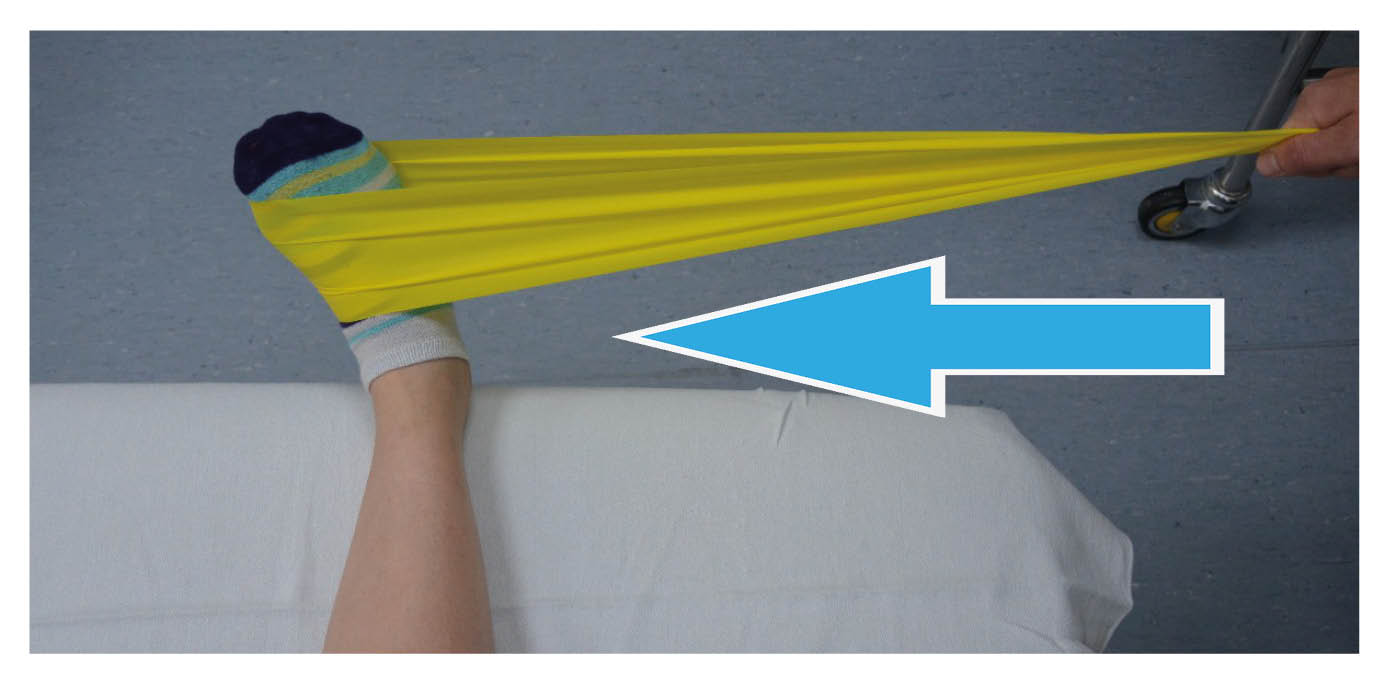 3.Inversion; Turn your ankle in, pulling in against the resistance band.