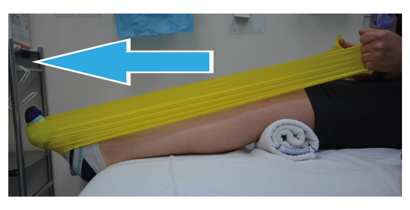 2.Plantar flexion with the knee slightly bent; Point your toes, pushing into the band.