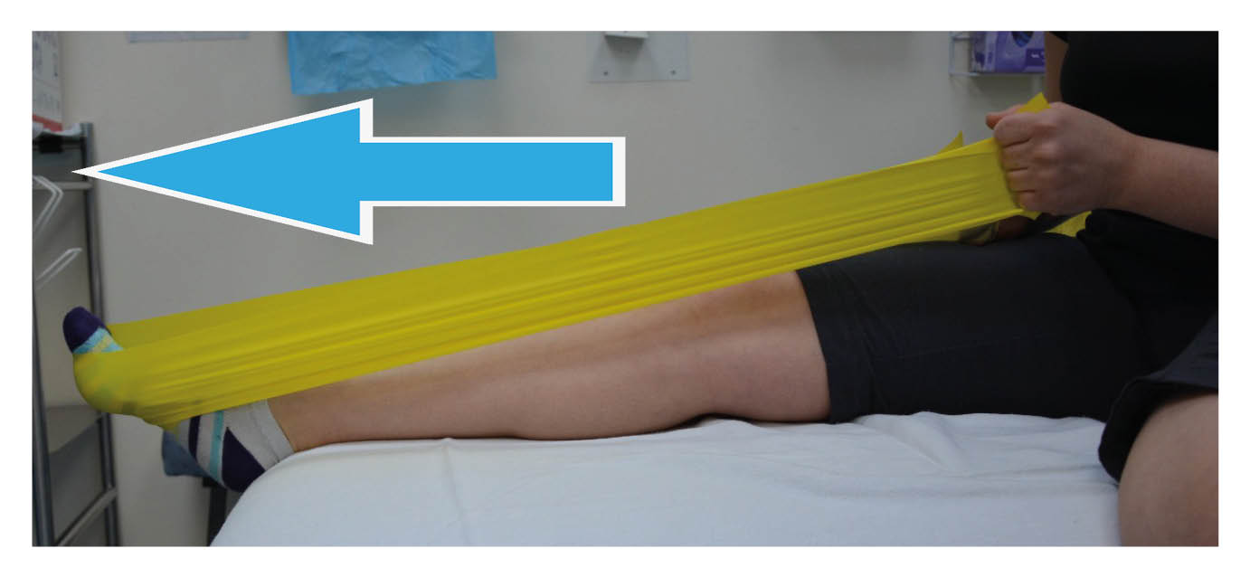 1.Plantar flexion with the knee straight; Point your toes, pushing into the band.