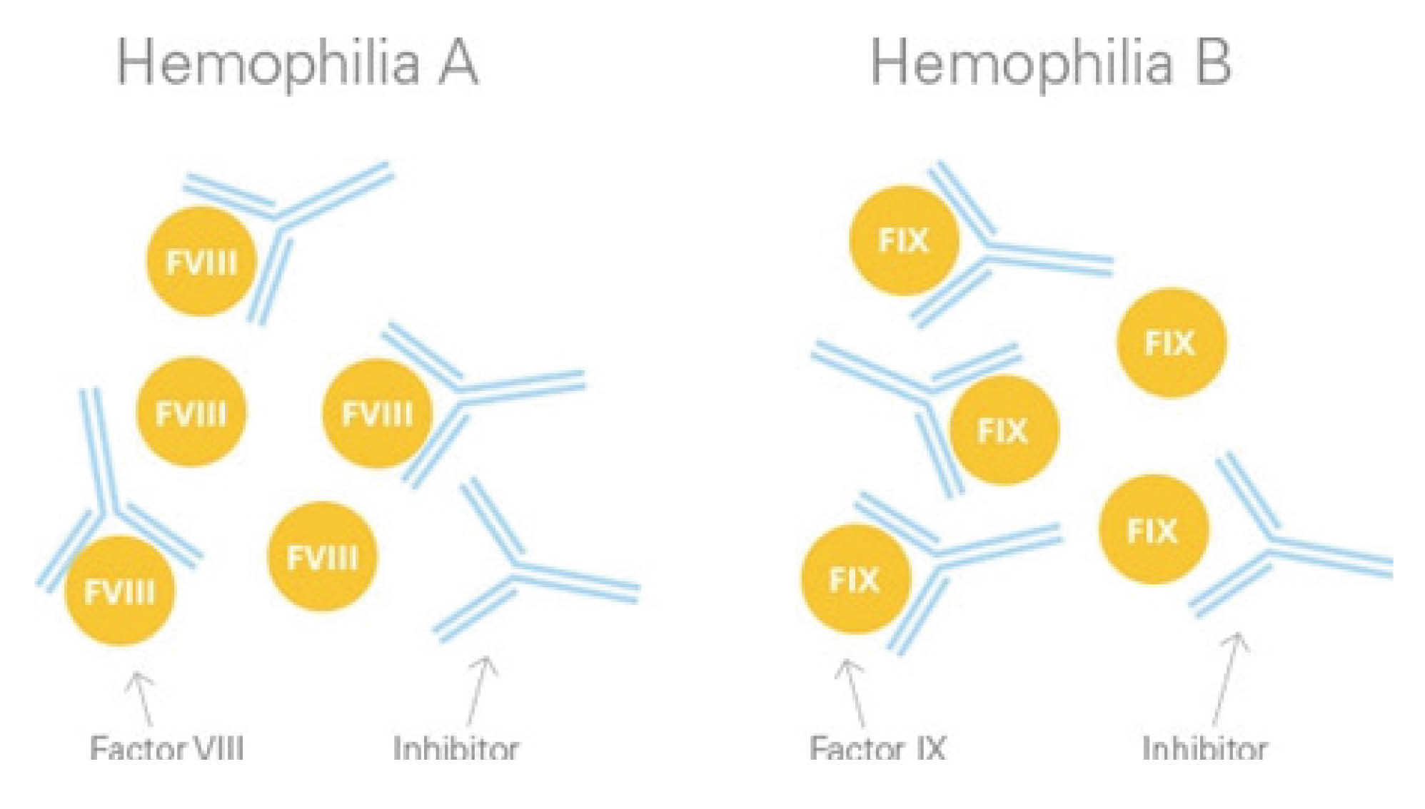 inhibitors.jpg